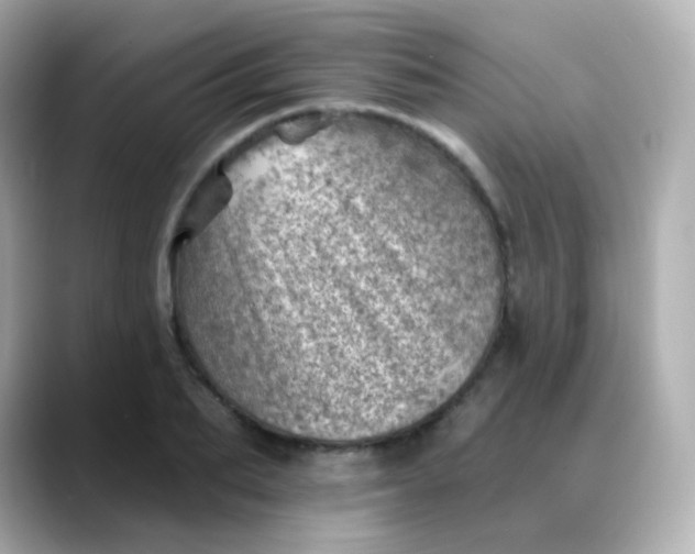X0000088450887200706051304