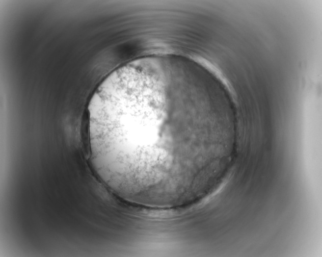X0000088450889200706051304