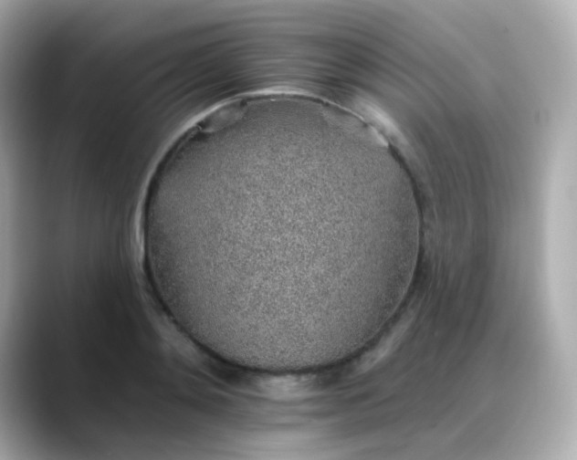 X0000088450892200706051304