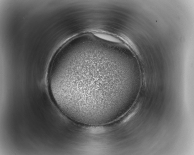 X0000088450893200706051304