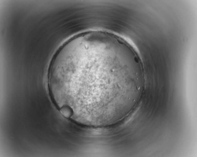 X0000088450895200706051304
