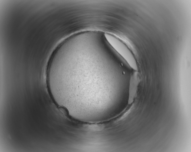 X0000088450896200706051304