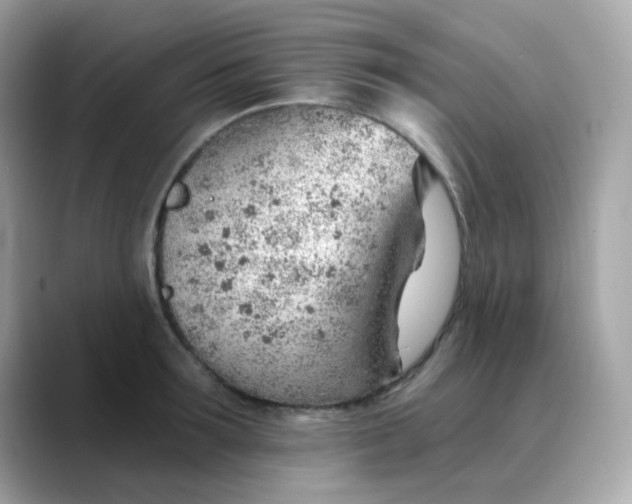 X0000088450899200706051304