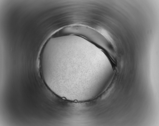 X0000088450900200706051304