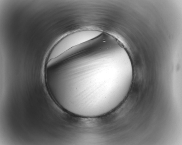 X0000088450902200706051304