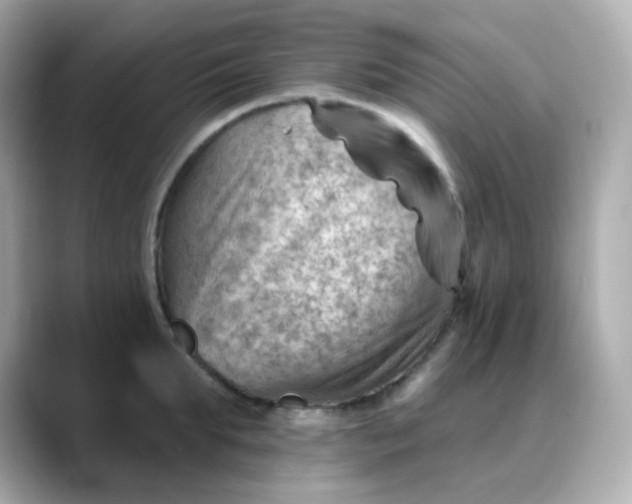 X0000088450903200706051304