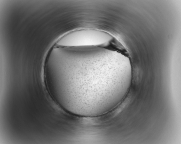 X0000088450904200706051304