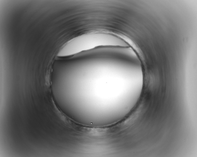 X0000088450905200706051304