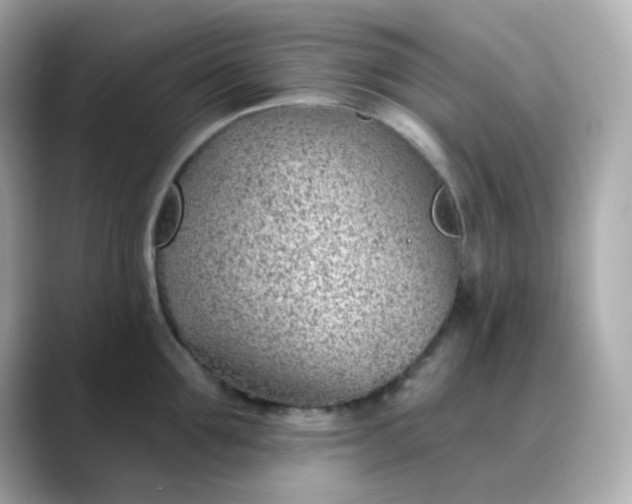 X0000088450907200706051304