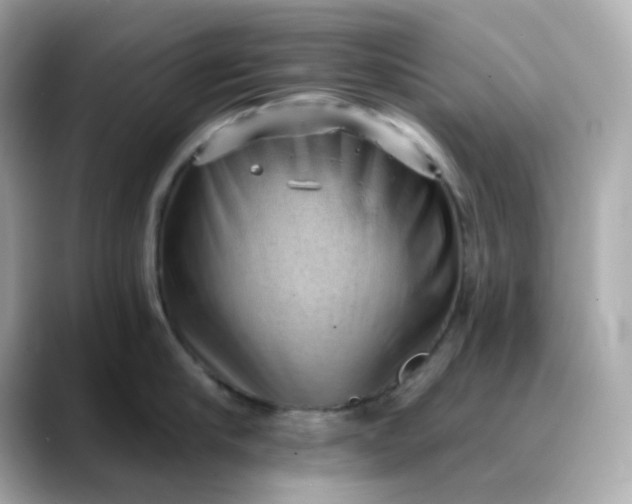 X0000088450910200706051304