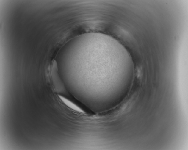 X0000088450915200706051303