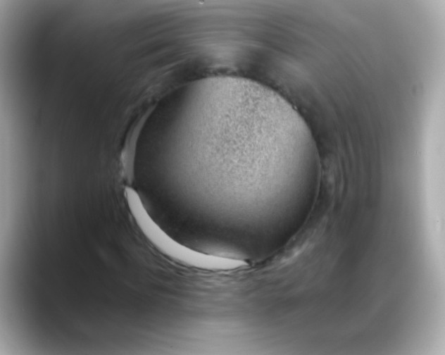 X0000088450916200706051303