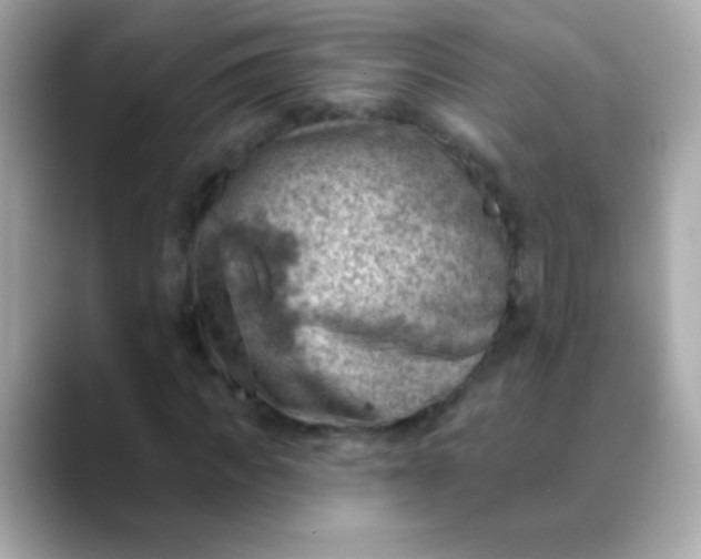 X0000088450917200706051303