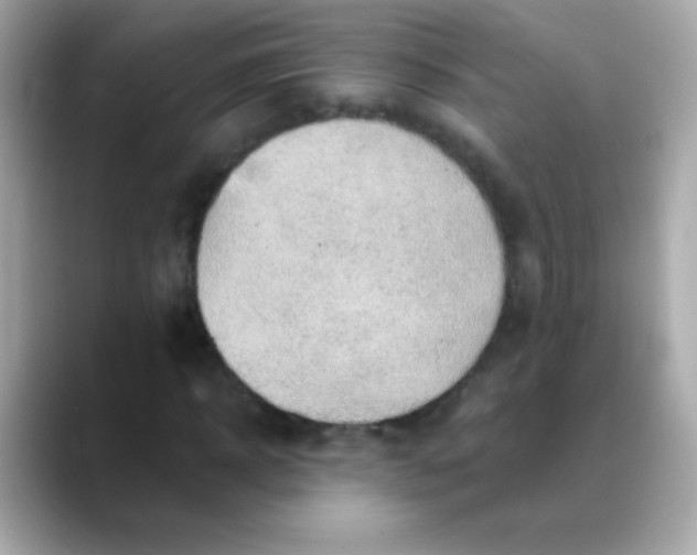X0000088450918200706051303