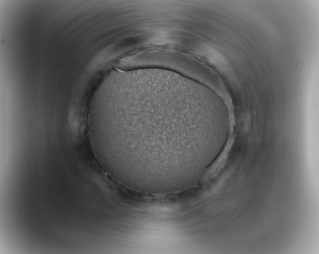 X0000088450920200706051303