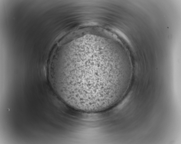 X0000088450921200706051303