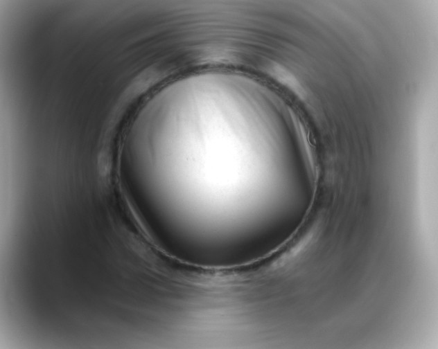 X0000088450922200706051303
