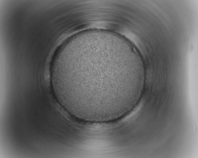 X0000088450923200706051303