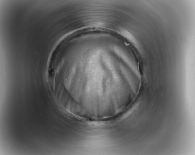 X0000088450924200706051303