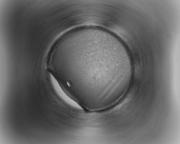 X0000088450926200706051303