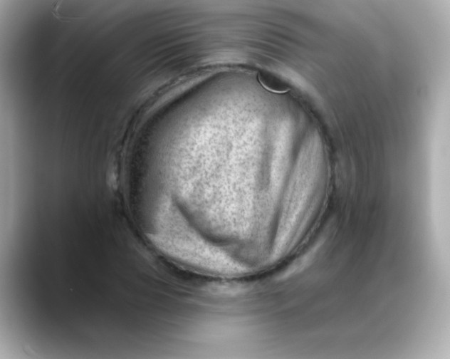 X0000088450929200706051303
