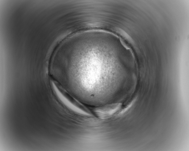 X0000088450930200706051303