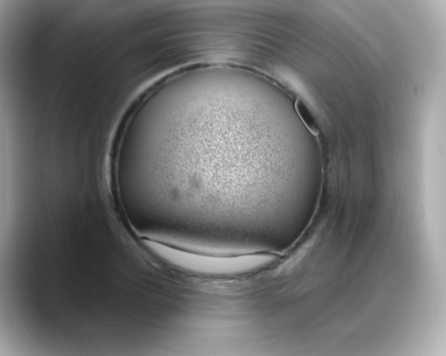 X0000088450932200706051303