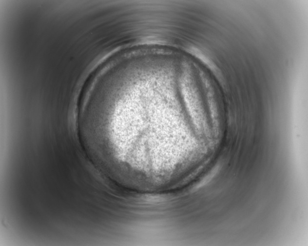X0000088450933200706051303