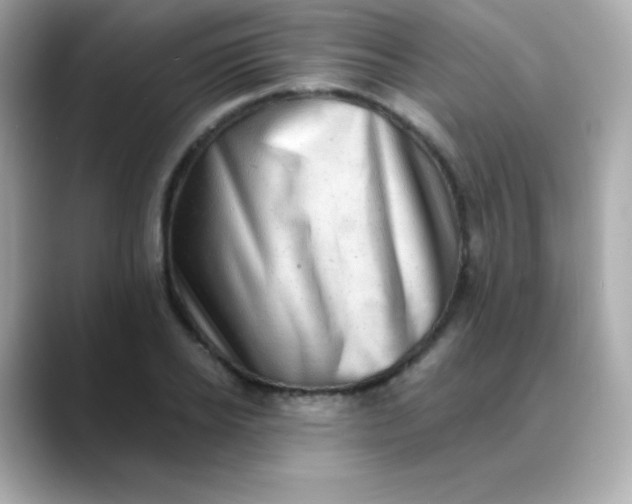 X0000088450934200706051303