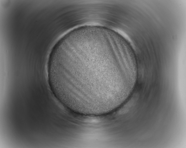 X0000088450935200706051303