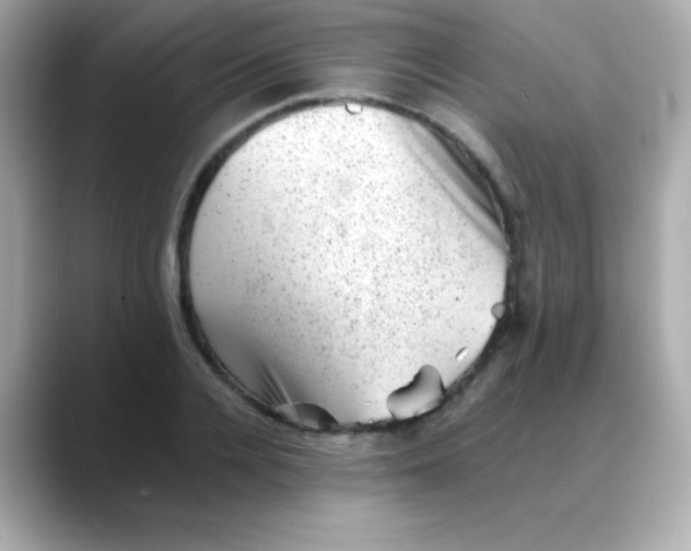 X0000088450936200706051303
