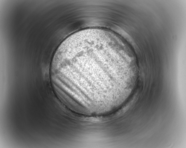 X0000088450937200706051303