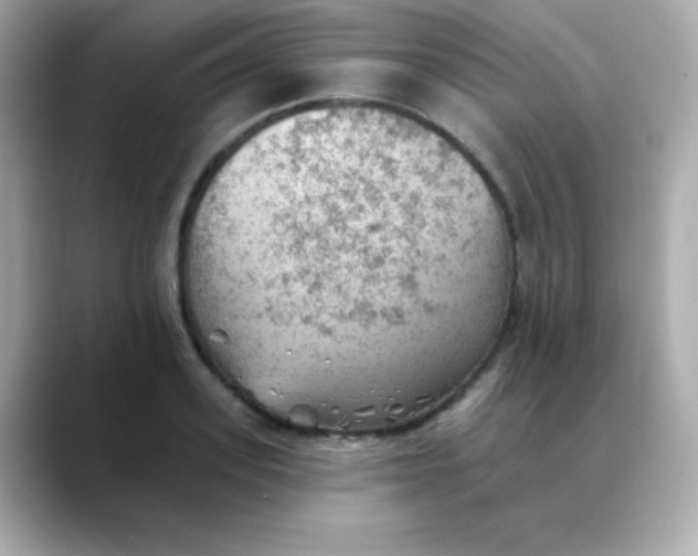 X0000088450939200706051303