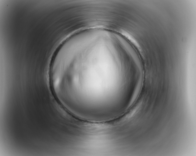 X0000088450941200706051303