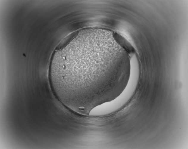 X0000088450946200706051303