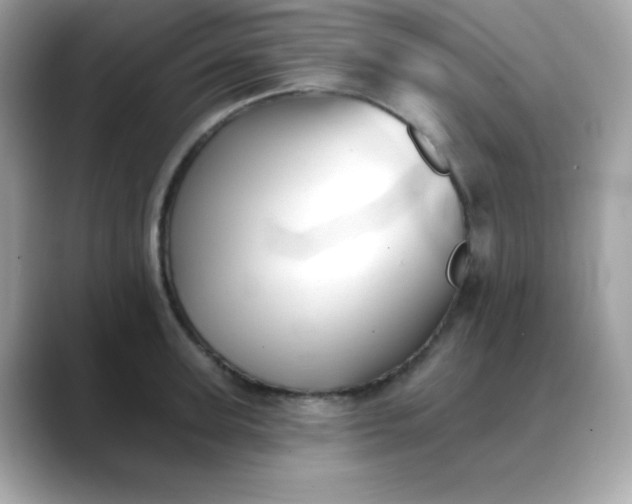 X0000088450947200706051304