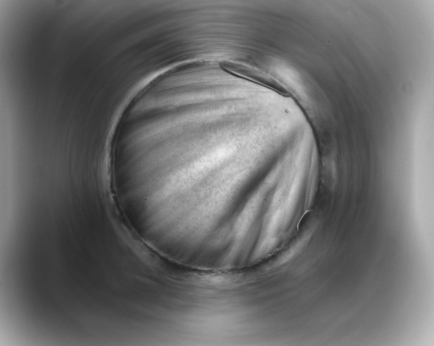 X0000088450948200706051304