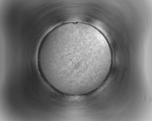 X0000088450949200706051304