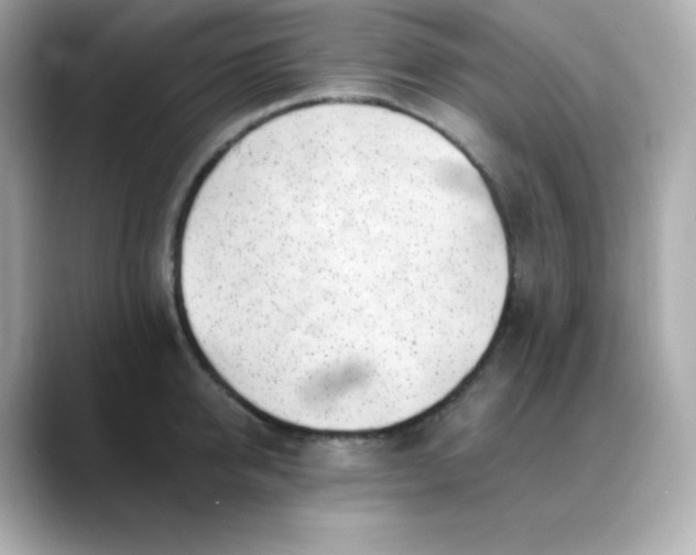 X0000088450950200706051304