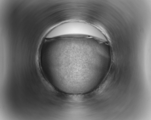 X0000088450952200706051304