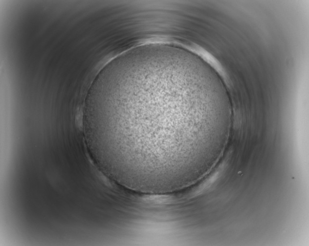 X0000088450953200706051304