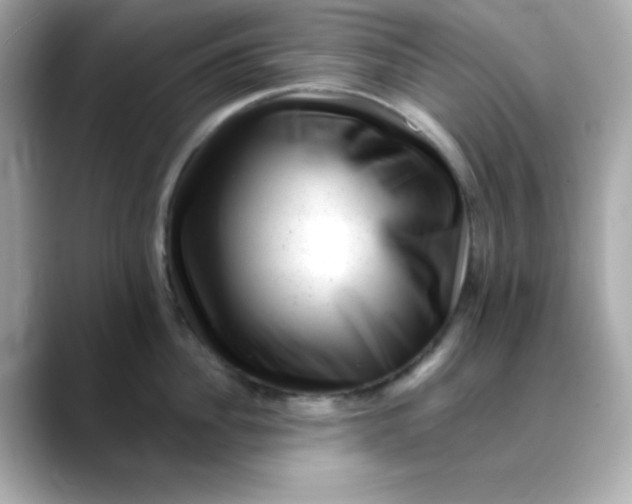 X0000088450956200706051304