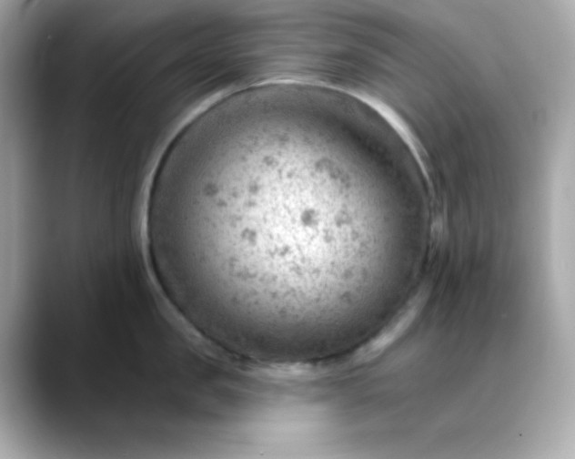 X0000088450957200706051304