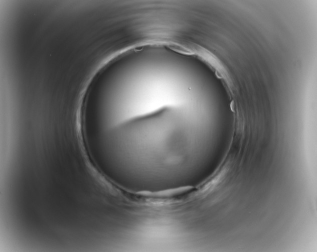 X0000088450958200706051304