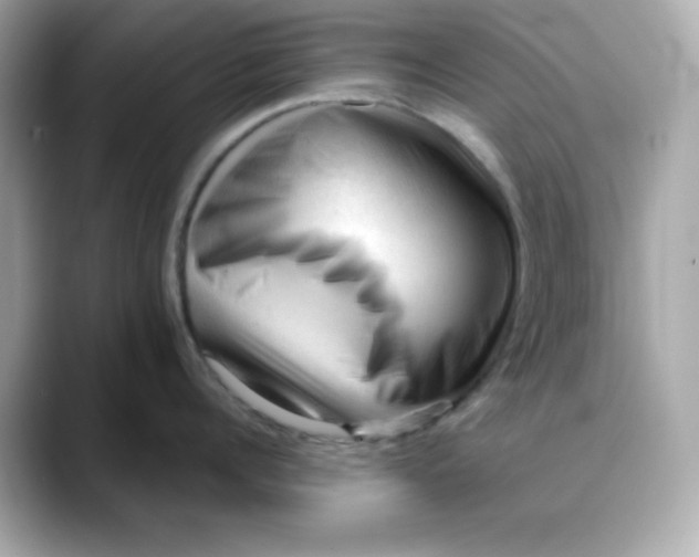 X0000088450960200706051304
