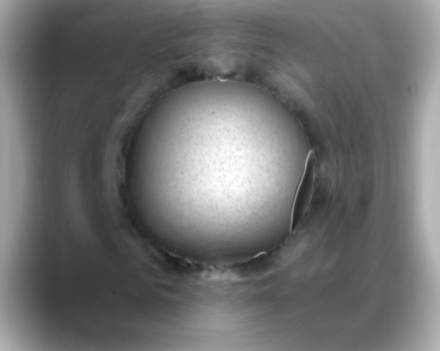 X0000088450961200706051303