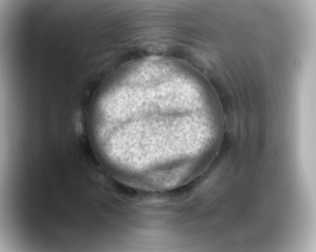 X0000088450962200706051303