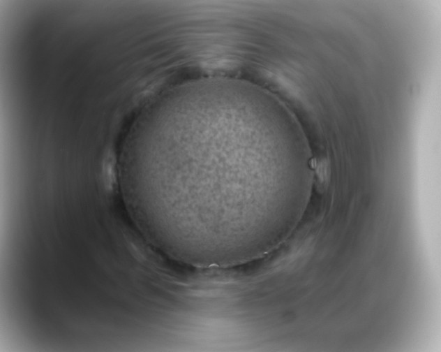 X0000088450963200706051303