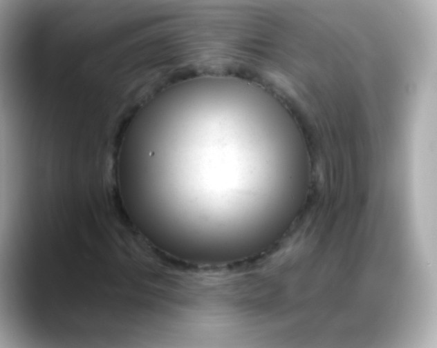 X0000088450964200706051303