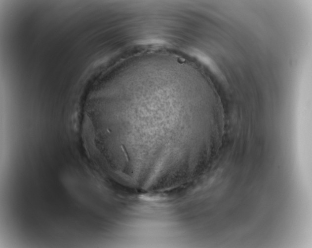 X0000088450967200706051303